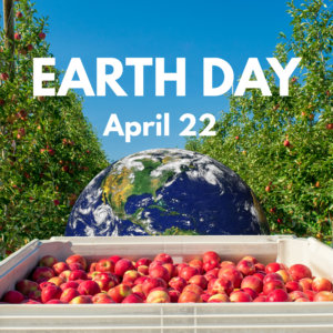 A picture of apples in a bin with the earth in the background.