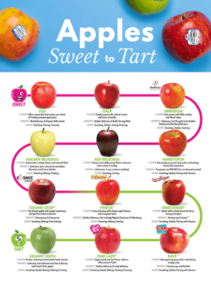 Honeycrisp vs. Evercrisp smackdown - Adam's Apples