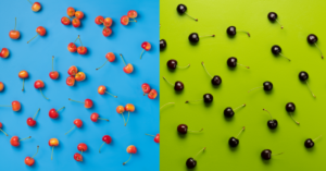 cherry differences