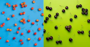 Different types of cherries on a blue and green background