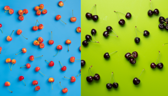 Different types of cherries on a blue and green background