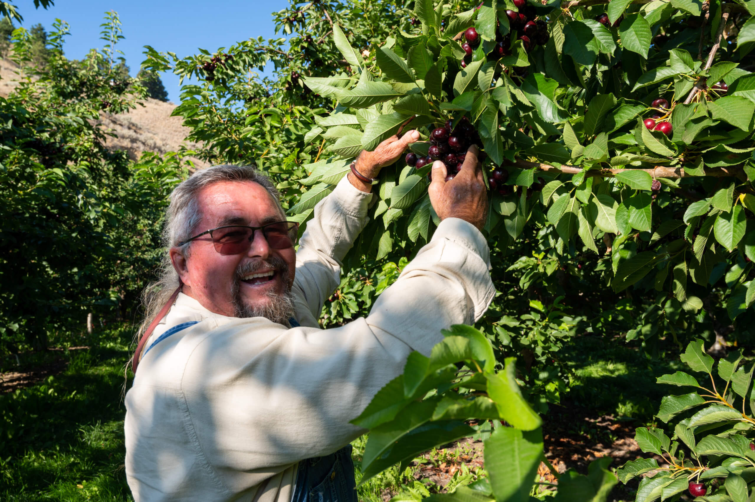 Kyle picking cherries