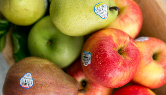 A mixed fruit bowl of apples and pears with stickers