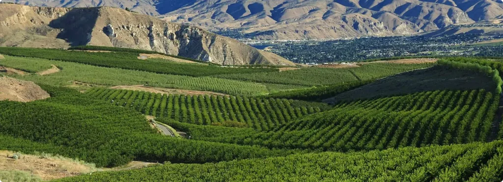 Valley Landscape