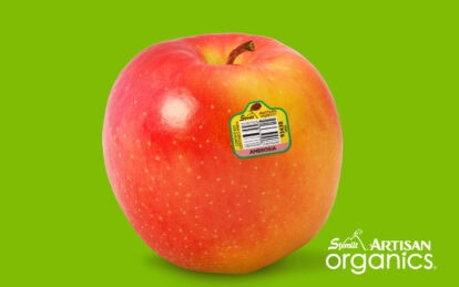 Fresh Ambrosia apple with sticker on bright green background.