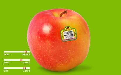 Close-up of Ambrosia apple with sticker on bright green background.