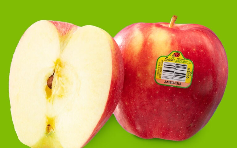 Fresh Ambrosia apple with a vibrant red skin and crisp interior on green background.