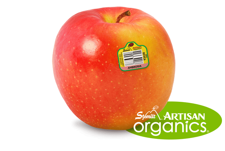 Fresh Ambrosia apple with organic and artisan labels on a white background.