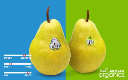Fresh Bartlett pears with barcode stickers on a colorful background.