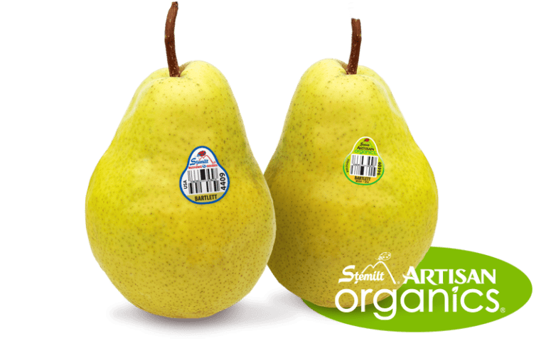 Two ripe Bartlett pears with organic labels on a white background.