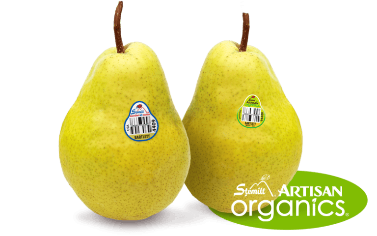 Two ripe Bartlett pears with organic labels on a white background.