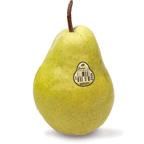 Bartlett pear