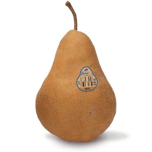 Bosc pear