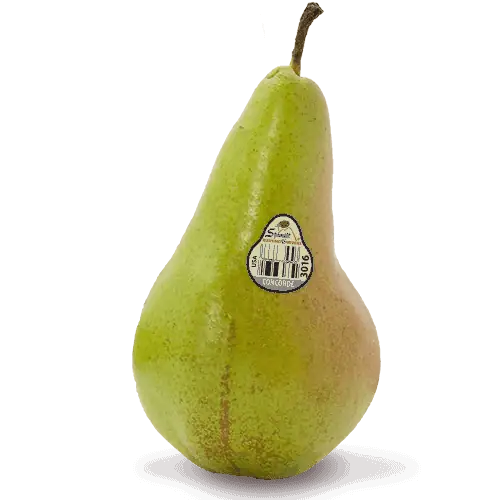 concorde pear