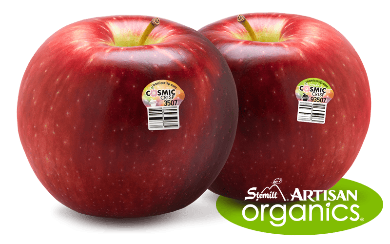 Two Cosmic Crisp apples with organic and artisan labels on a white background.