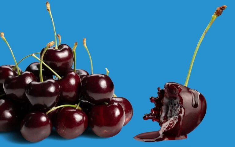 Fresh dark sweet cherries with one cherry bitten into, on a blue background.