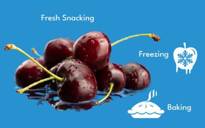Fresh cherries with water droplets, ideal for snacking, freezing, and baking.
