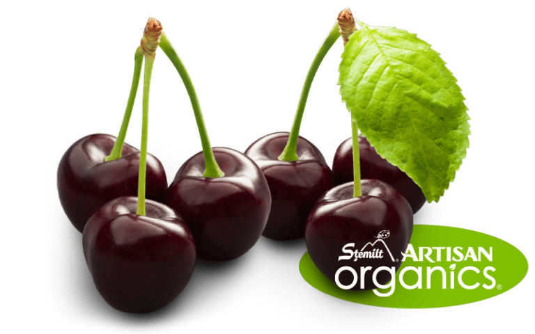 Taste the World Famous Cherries - Hand-Picked Delights