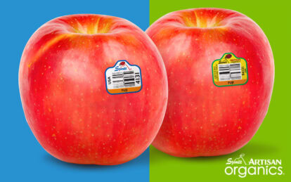 Fresh Fuji apples with stickers on a colorful background.
