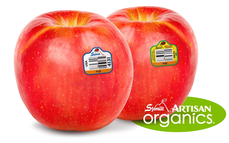 Fresh Fuji apples with Stemilt Artisan Organics label for optimal freshness.