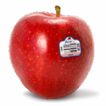 Gala apple
