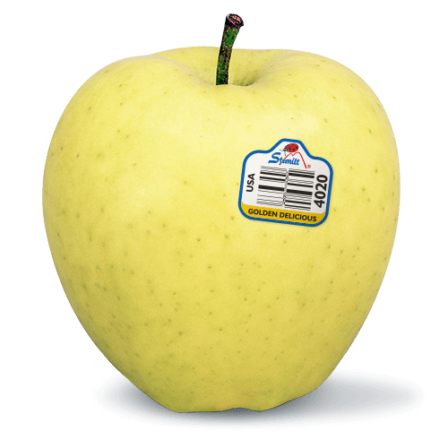Yellow apple with Stemilt sticker, part of the Apple Sweetness Scale.