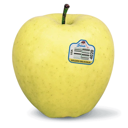 Yellow apple with Stemilt sticker, part of the Apple Sweetness Scale.