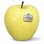 Golden delicious