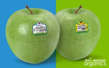 Two fresh Granny Smith apples with stickers on a colorful background.
