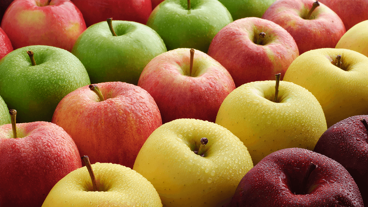 Colorful apples from Stemilt orchard showcasing variety and freshness.