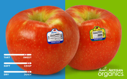 Fresh Honeycrisp apples with Stemilt stickers on a colorful background.
