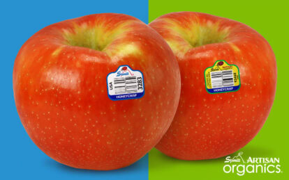 Two fresh Honeycrisp apples with stickers on a split colorful background.