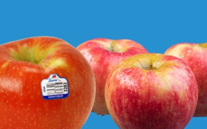 Fresh Honeycrisp apples with vibrant red and yellow skin on a blue background.