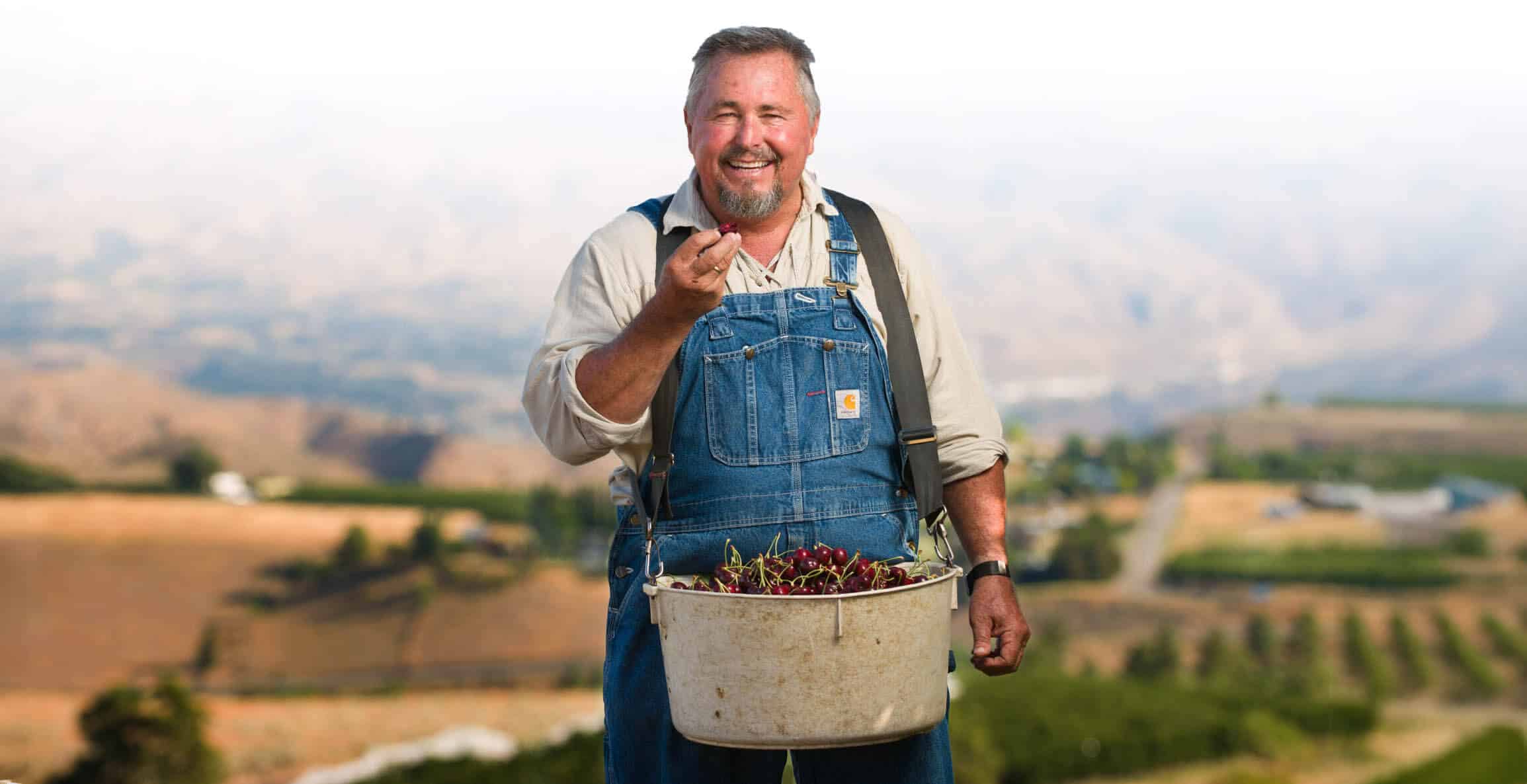 Farmer holding a basket of fresh cherries in a scenic orchard landscape.