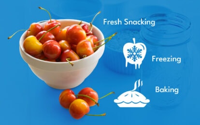 Fresh cherries in a bowl with icons for freezing and baking on blue background.
