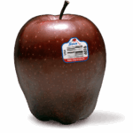 Red delicious apples