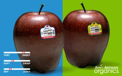 Two Red Delicious apples with stickers on a split blue and green background.