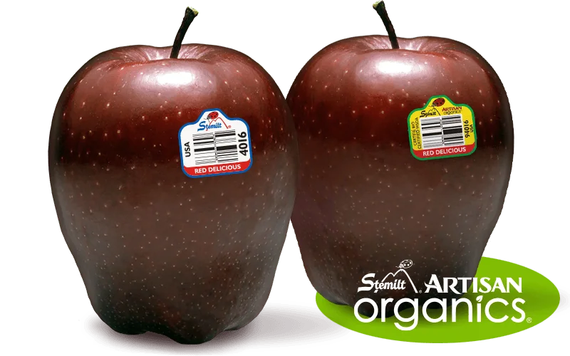 Two Red Delicious apples with stickers on a white background.