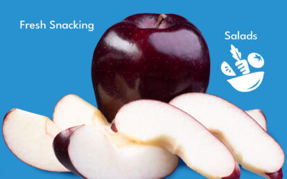 Fresh Crisp Cosmic Crisp apple slices with whole apple on blue background.