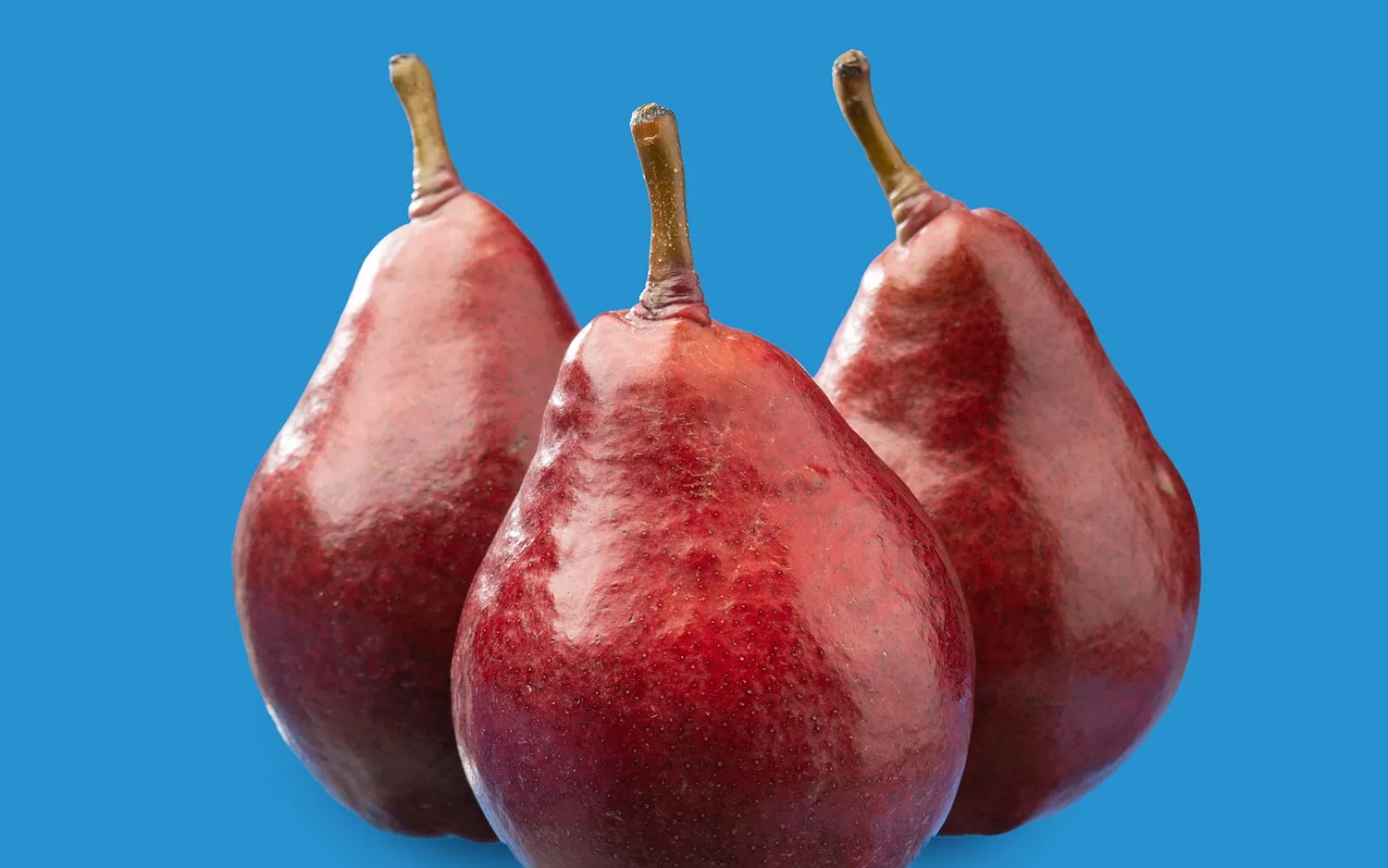 Three ripe Starkrimson pears on a blue background for optimal SEO.