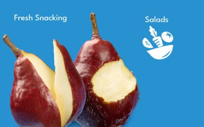 Fresh Starkrimson pears for snacking and salads on blue background.