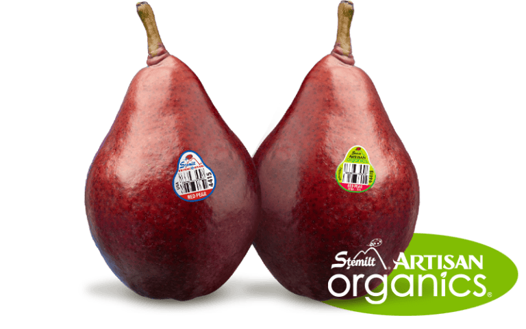 Two ripe Starkrimson pears with organic and artisan labels on a white background.