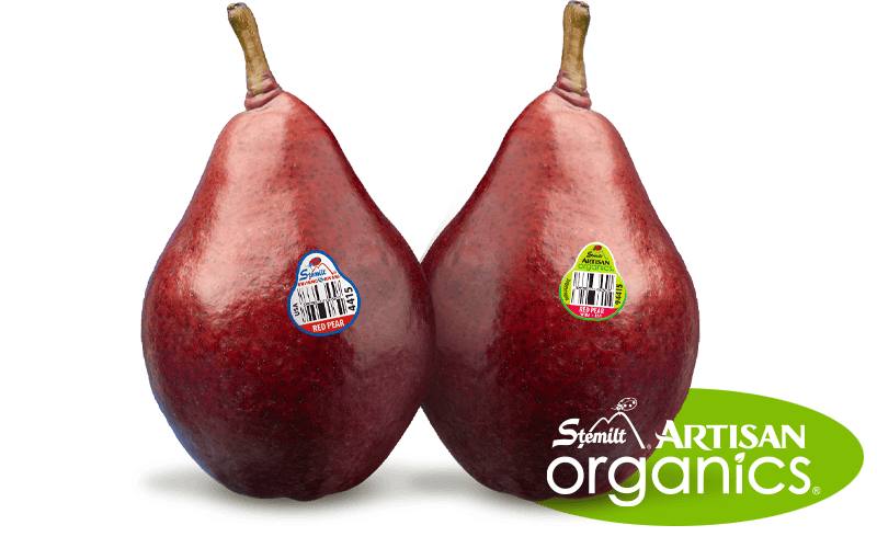 Two ripe Starkrimson pears with organic and artisan labels on a white background.
