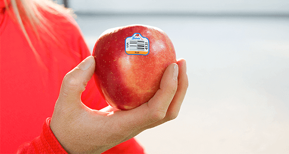 Red apple with a barcode sticker held in a person's hand for fresh fruit shopping.