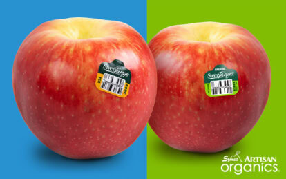 Fresh SweeTango apples with organic labels on a colorful background.