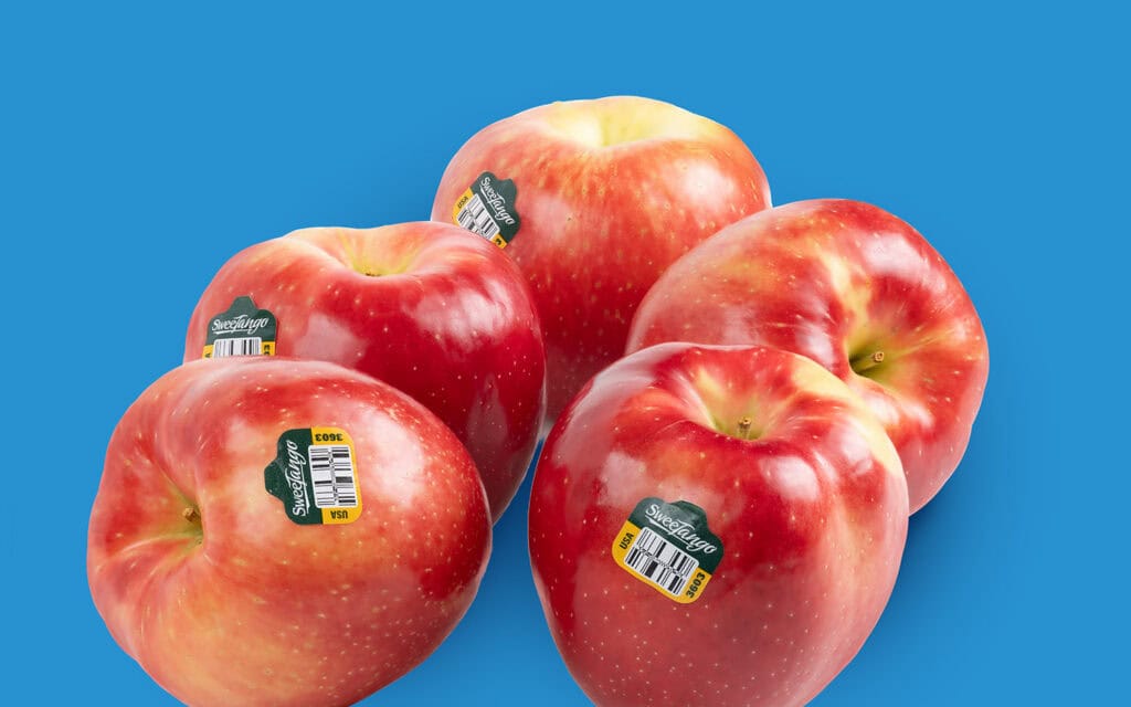 Fresh SweeTango apples with stickers on a blue background.