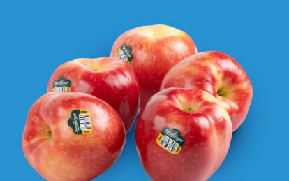 Fresh SweeTango apples with stickers on a blue background.