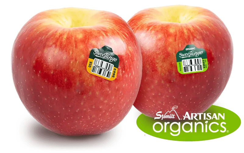 Two fresh SweeTango apples with organic stickers on a white background.