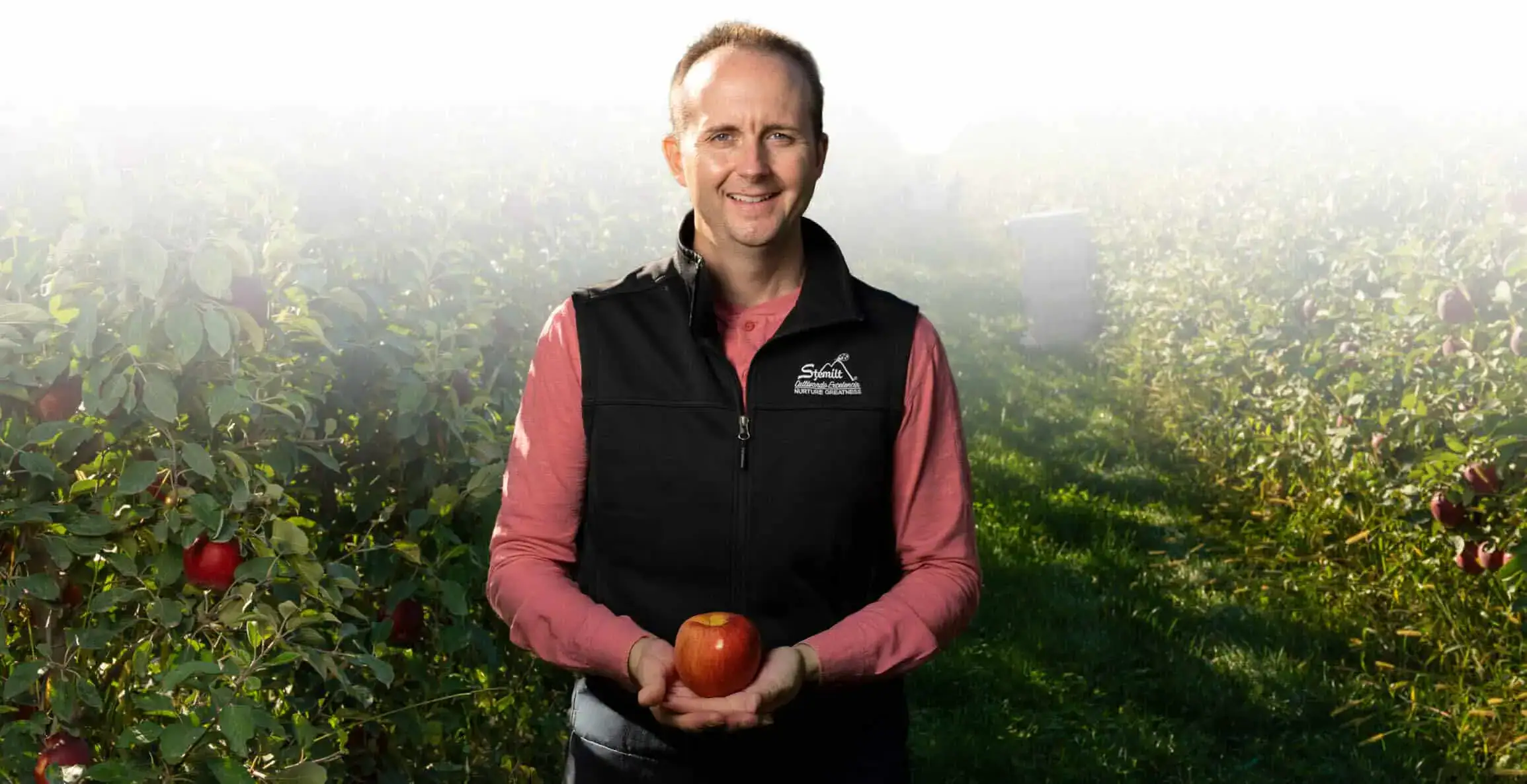 Man holding a red apple in an orchard of apple trees.