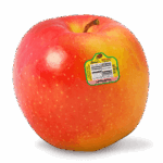 Ambrosia apple